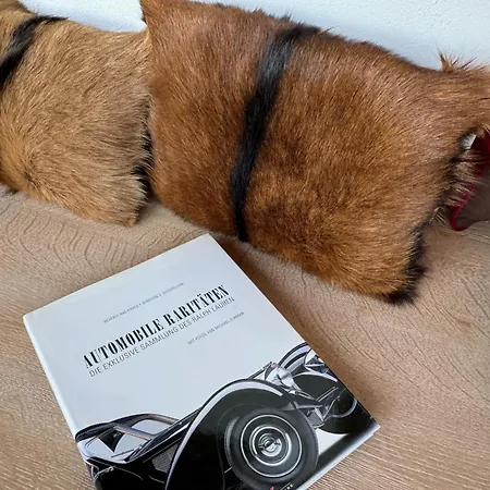 Kitzcharme Penthouse By Belle-stay